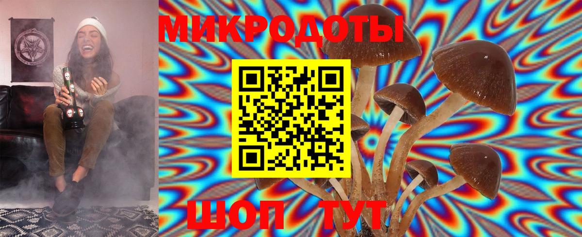 Псилоцибиновые грибы Cubensis Фурманов