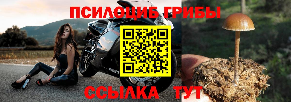 Фурманов  Галлюциногенные грибы MAGIC MUSHROOMS  Вход с VPN  Псилоцибиновые грибы MAGIC MUSHROOMS 